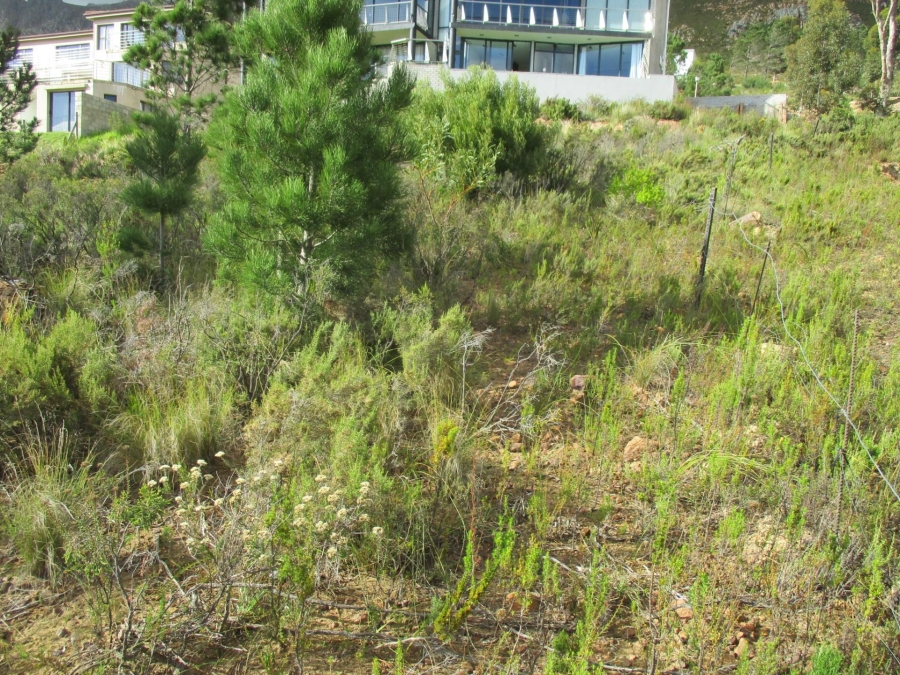 0 Bedroom Property for Sale in Mountainside Western Cape